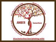 AMBER Consortium