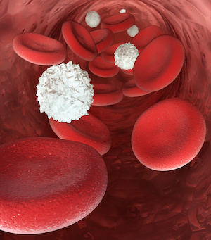 Erythrocyte Cells and Leukocytes Floating in Blood 3D rendering