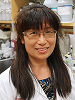 Huimei Lu, PhD